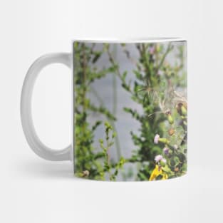 American Goldfinch Perched On Dandelions Mug